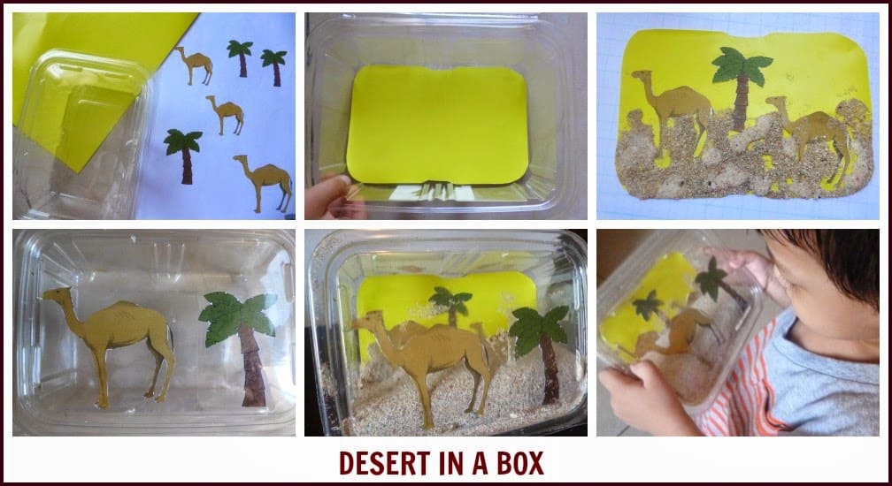 How to Make a Desert Diorama Craft