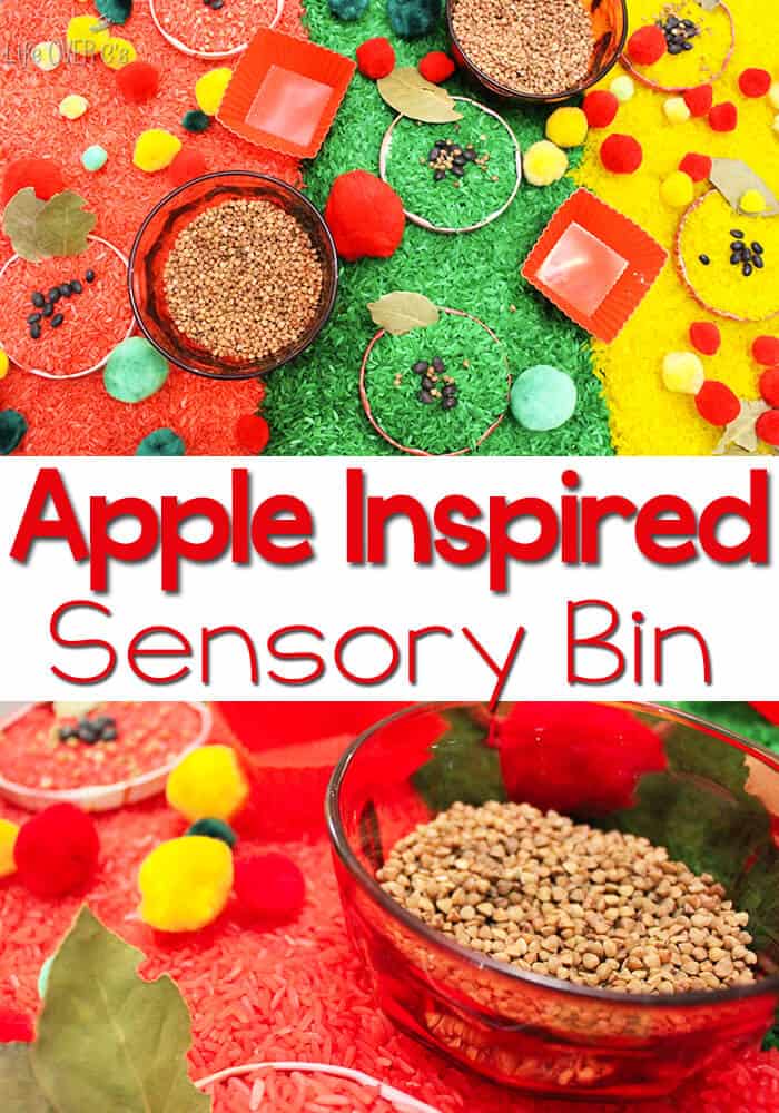This apple sensory bin is a great way to talk about the parts of an apple with your preschooler.