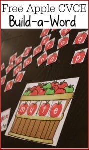 CVCE word families 1t grade