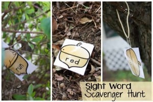 Explore the sights and textures of fall while doing this sight word scavenger hunt!