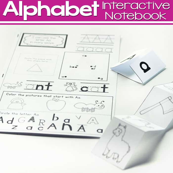 My First Interactive Notebook!  Interactive alphabet notebooks, Teaching  the alphabet, Preschool learning