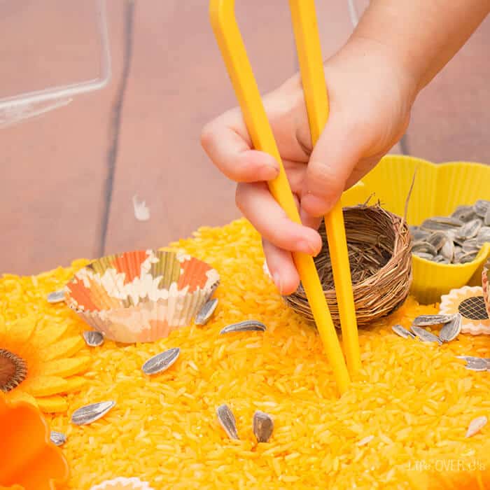 Sunflower Sensory Bin For Fine Motor Skills Life Over Cs