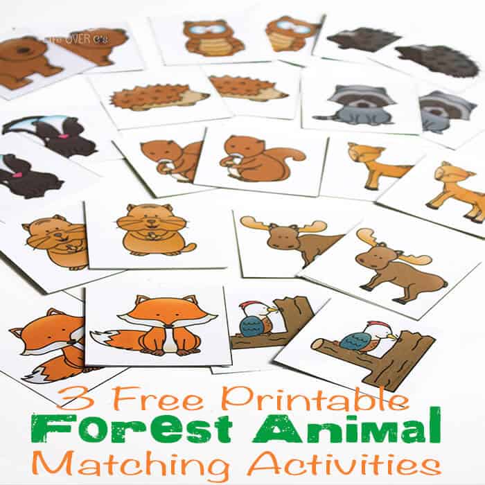 3 Free Printable Forest Animal Matching Activities- Life Over C's