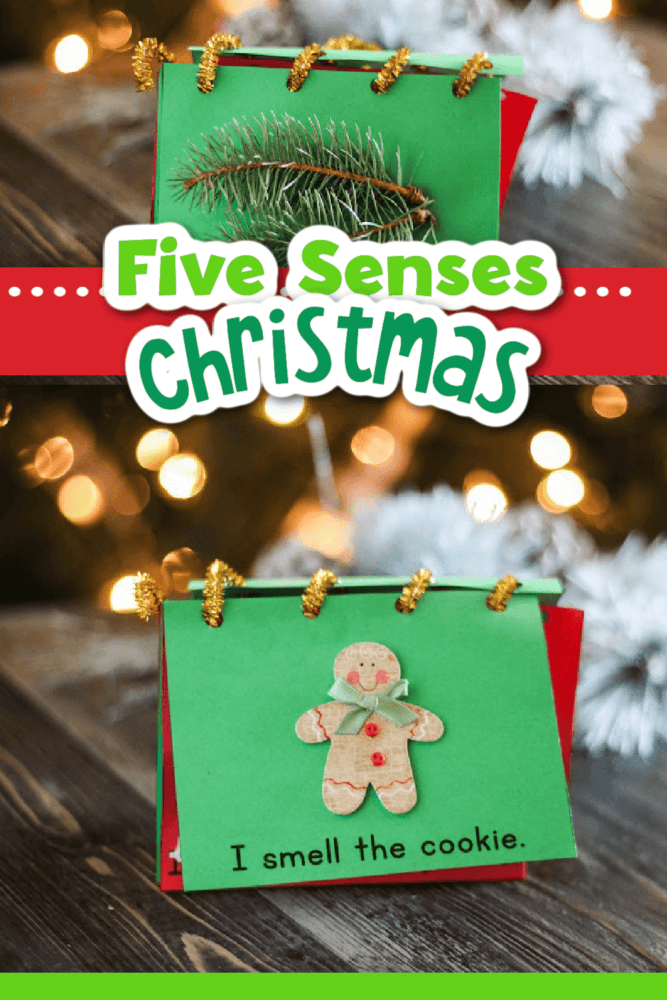 text on image says five senses christmas image of emergent reader opened to page with a gingerbread man stick says 'i smell the cookie'