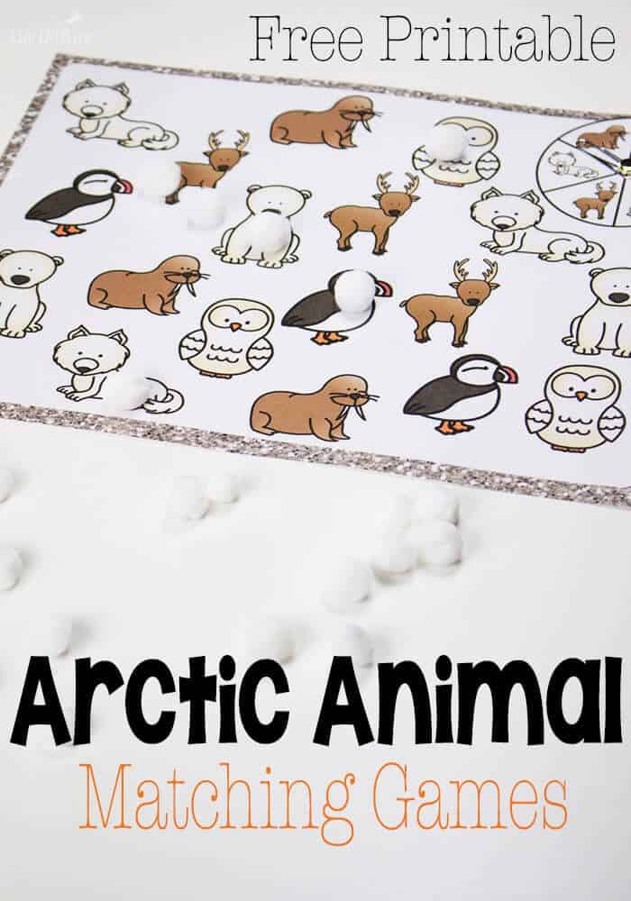 Arctic Animal Matching Game