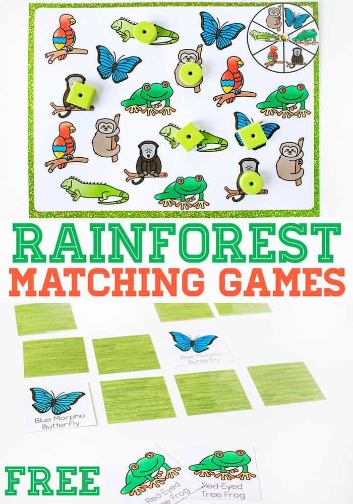 Rainforest Matching Games for Preschoolers