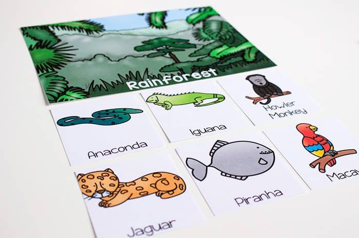 compare types of forests and the animals that live there with these free printable forest biome sorting mats. as your kids learn the different between deciduous forests and rainforests, these sorting mats will be a fun way to learn about the animals that live in those biomes.