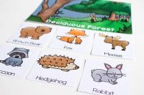 Free Printable Biome Sorting Mats For Forest Animals