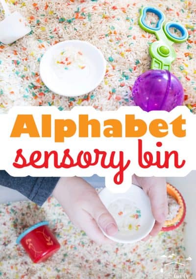 Easy Alphabet Sensory Bin for Kids - Life Over C's