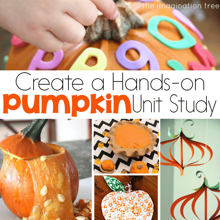 Kids will love exploring pumpkins this fall with a hands-on pumpkin unit study! Use pumpkins for science, math, STEM, literacy, art and so much more!!