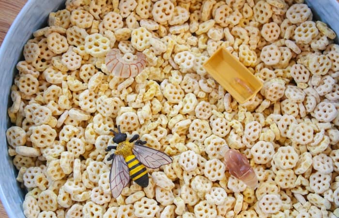 Bee-themed Bio Trays for Sensory Play