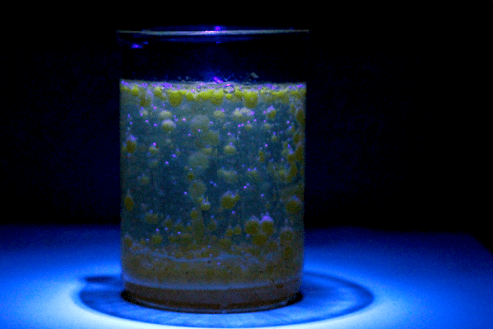 make a glow in the dark lava lamp and learn about science at the same time in this fun summer science activity for kids! tons of educational fun!