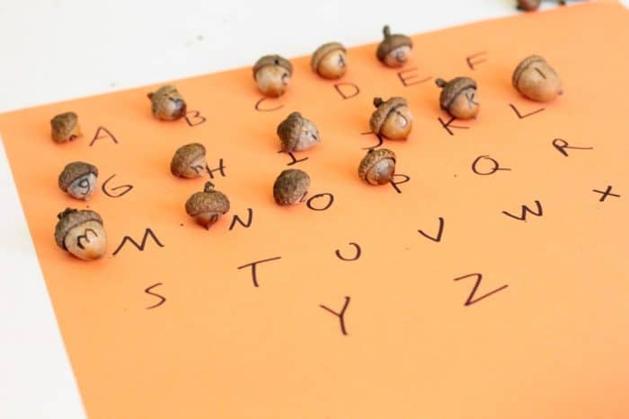 Acorn Alphabet Matching Activity for Kindergarteners