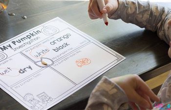 Pumpkin STEM Activity + Free Printable - Life Over C's