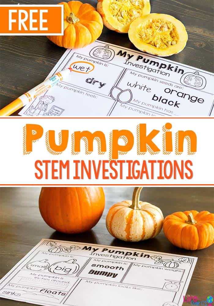 Pumpkin STEM Activity for Preschoolers Free Printables