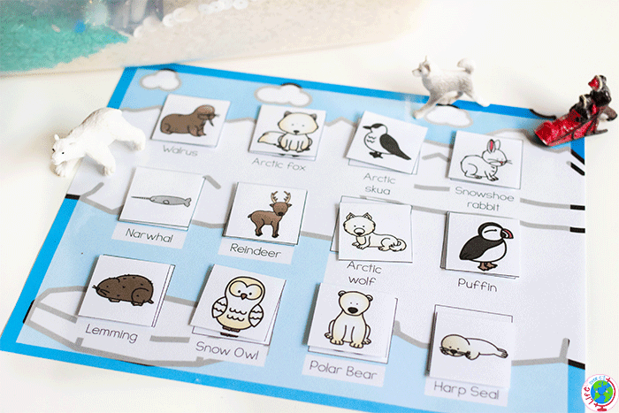 free-arctic-animal-sensory-bin-matching-game-printable-life-over-c-s