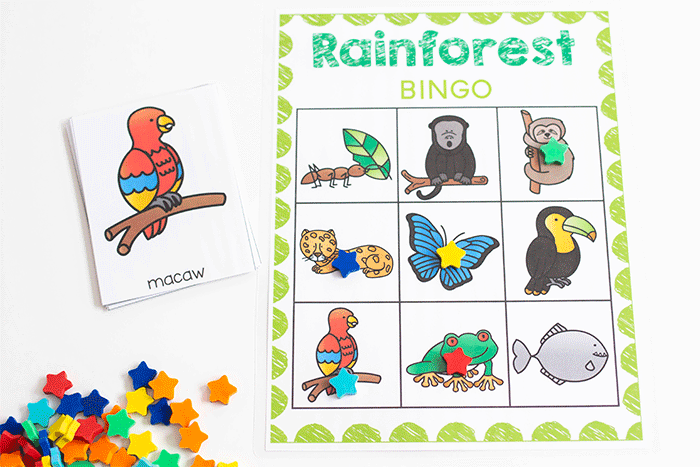 free rainforest bingo game for pre-k.