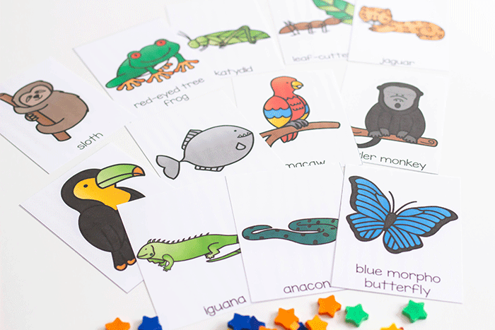match rainforest animals with this simple rainforest bingo game.