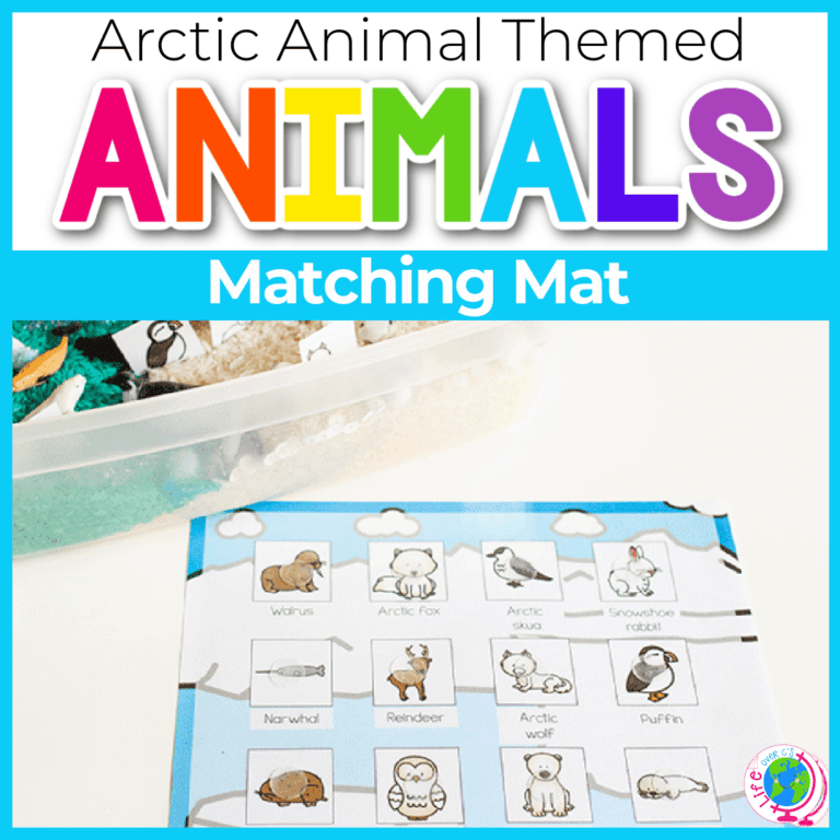 arctic animal matching set featured image