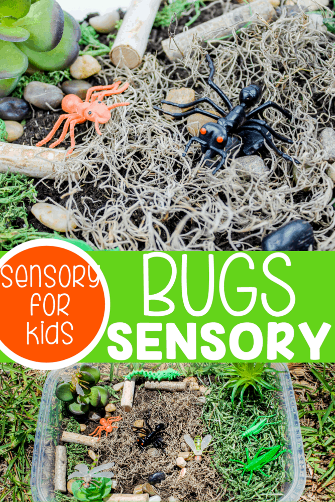 create a bug sensory bin for preschoolers to use during your insect unit or when you are learning about life cycles with your preschoolers. they can learn about habitats, what bugs are and what food they eat with this fun bug sensory bin.