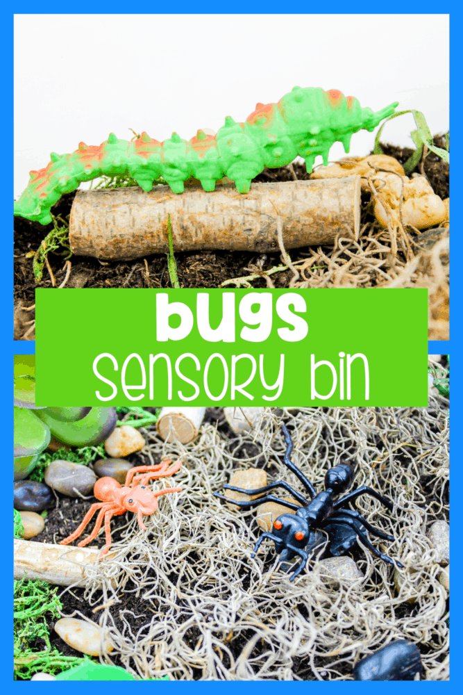 create a bug sensory bin for preschoolers to use during your insect unit or when you are learning about life cycles with your preschoolers. they can learn about habitats, what bugs are and what food they eat with this fun bug sensory bin.