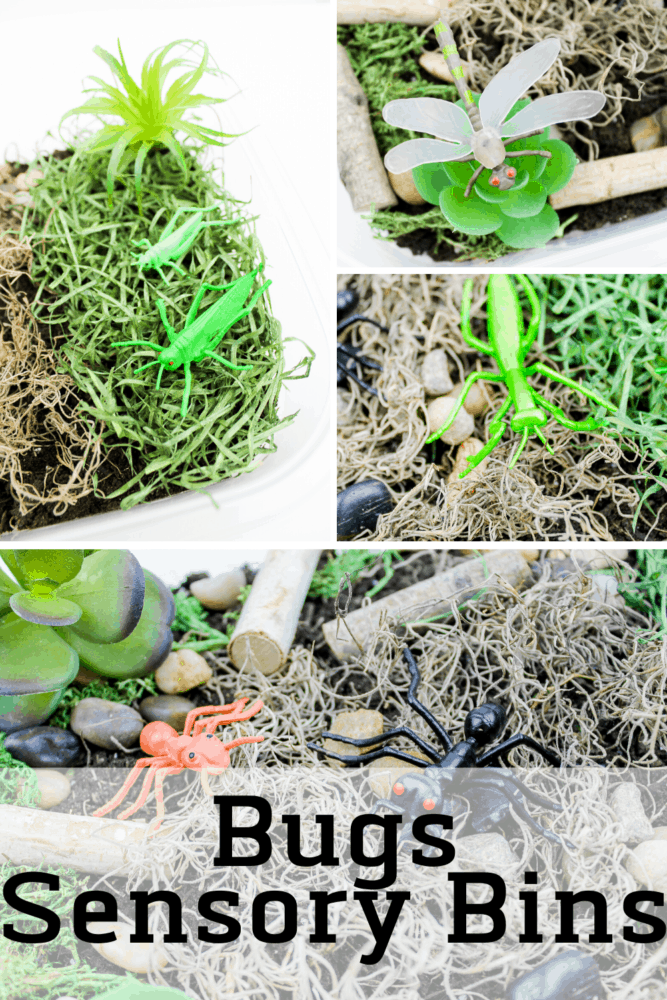create a bug sensory bin for preschoolers to use during your insect unit or when you are learning about life cycles with your preschoolers. they can learn about habitats, what bugs are and what food they eat with this fun bug sensory bin.