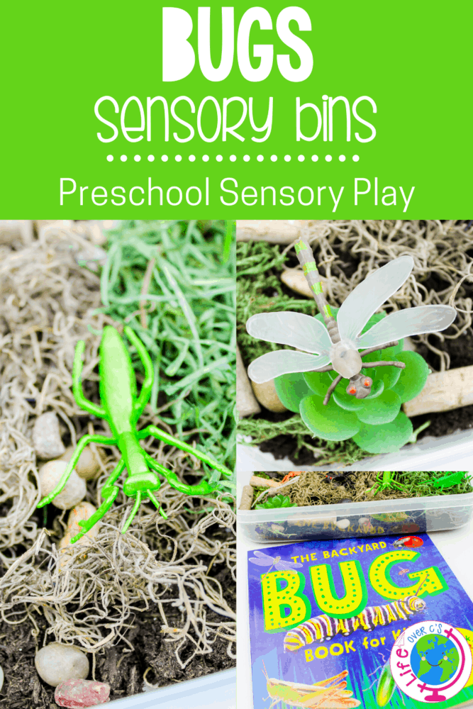 create a bug sensory bin for preschoolers to use during your insect unit or when you are learning about life cycles with your preschoolers. they can learn about habitats, what bugs are and what food they eat with this fun bug sensory bin.