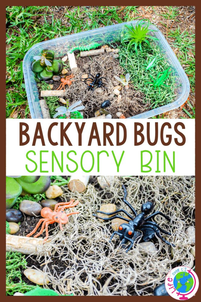 create a bug sensory bin for preschoolers to use during your insect unit or when you are learning about life cycles with your preschoolers. they can learn about habitats, what bugs are and what food they eat with this fun bug sensory bin.