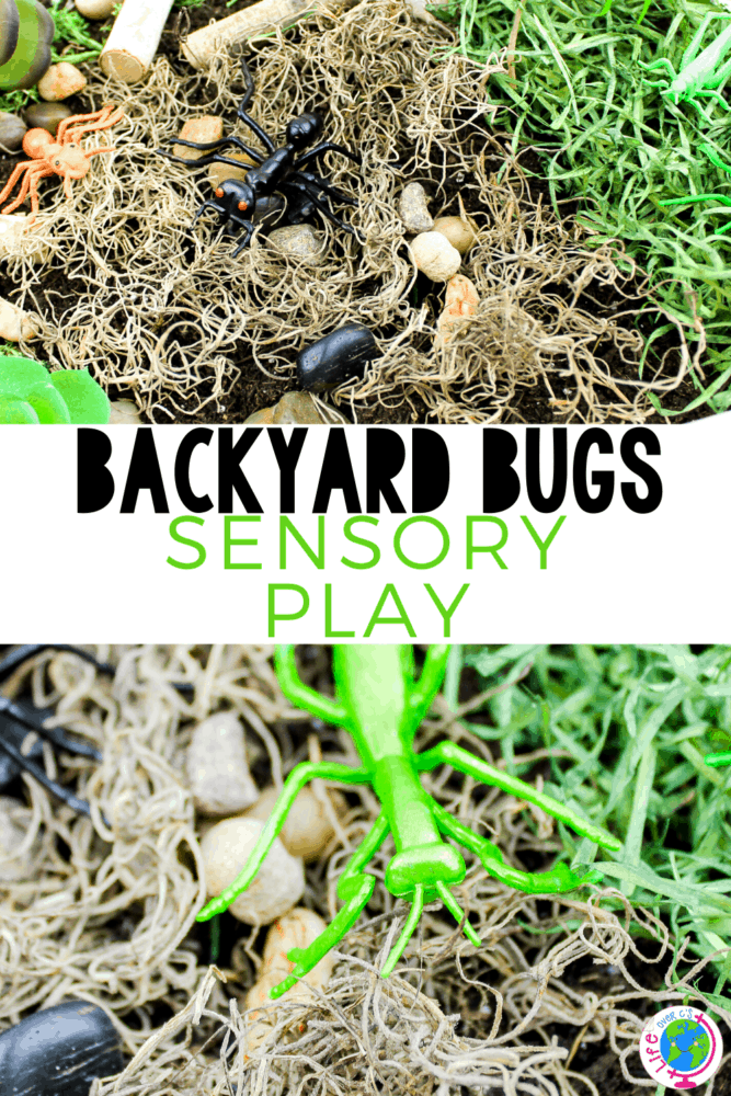 create a bug sensory bin for preschoolers to use during your insect unit or when you are learning about life cycles with your preschoolers. they can learn about habitats, what bugs are and what food they eat with this fun bug sensory bin.