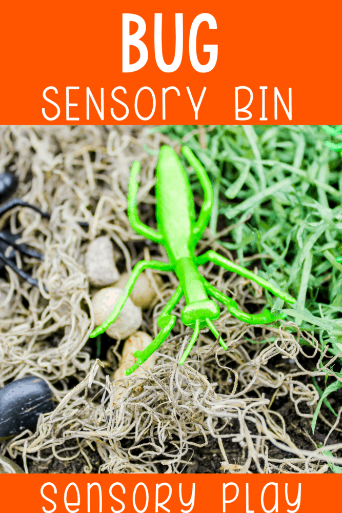 create a bug sensory bin for preschoolers to use during your insect unit or when you are learning about life cycles with your preschoolers. they can learn about habitats, what bugs are and what food they eat with this fun bug sensory bin.