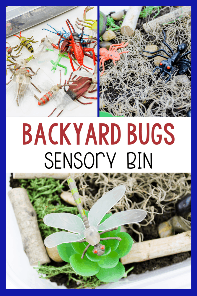 create a bug sensory bin for preschoolers to use during your insect unit or when you are learning about life cycles with your preschoolers. they can learn about habitats, what bugs are and what food they eat with this fun bug sensory bin.
