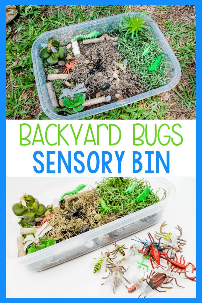 create a bug sensory bin for preschoolers to use during your insect unit or when you are learning about life cycles with your preschoolers. they can learn about habitats, what bugs are and what food they eat with this fun bug sensory bin.