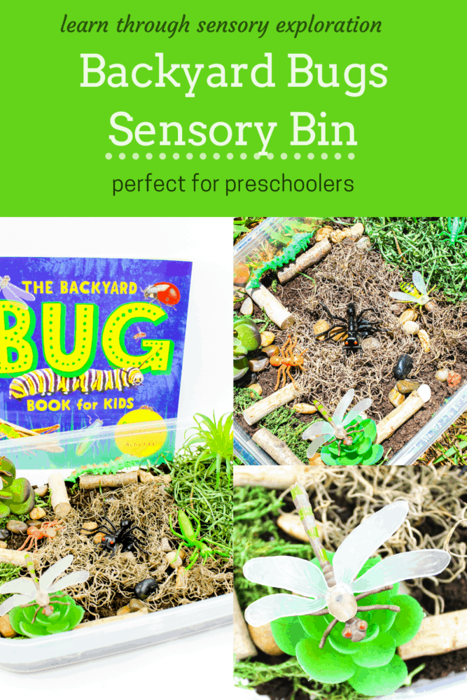 create a bug sensory bin for preschoolers to use during your insect unit or when you are learning about life cycles with your preschoolers. they can learn about habitats, what bugs are and what food they eat with this fun bug sensory bin.
