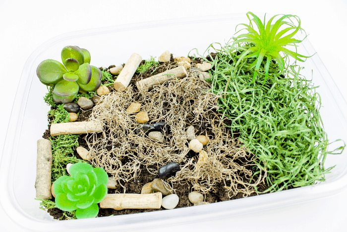 create a bug sensory bin for preschoolers to use during your insect unit or when you are learning about life cycles with your preschoolers. they can learn about habitats, what bugs are and what food they eat with this fun bug sensory bin.