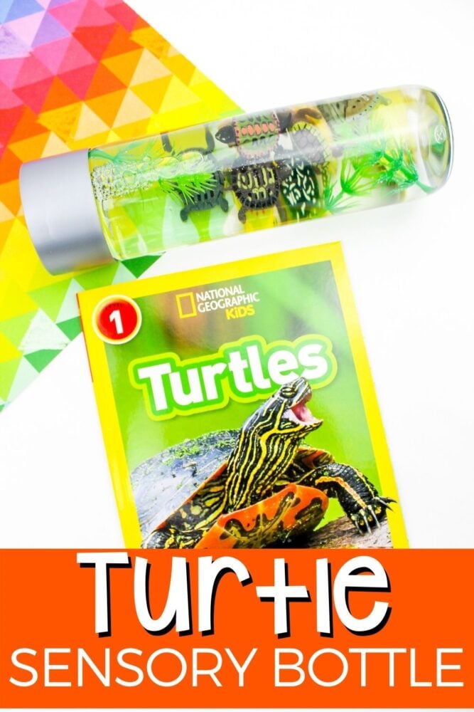 turtle sensory bottle