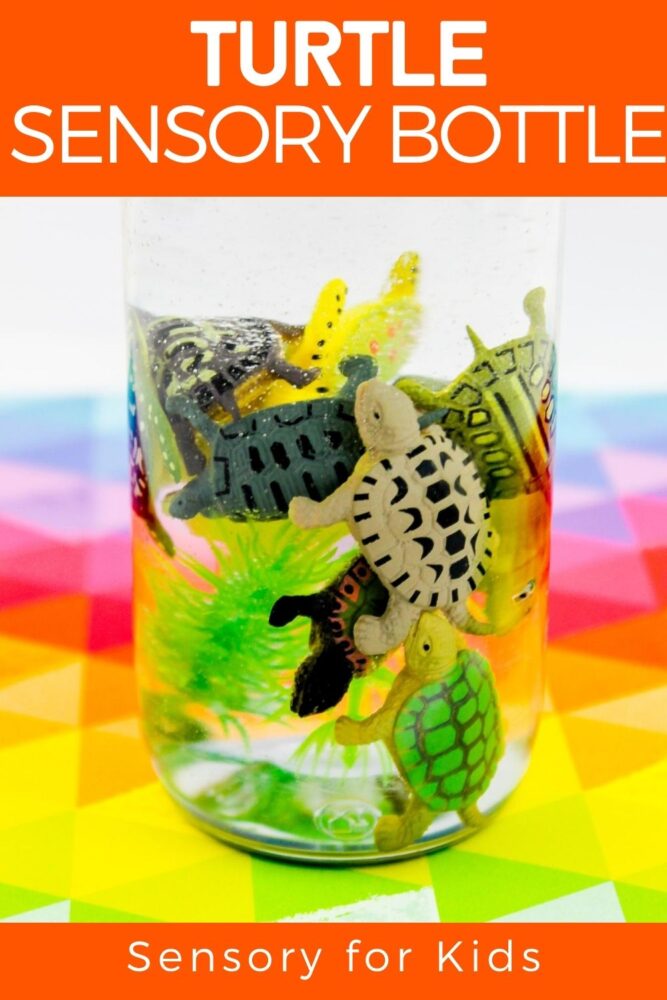 turtle sensory bottle