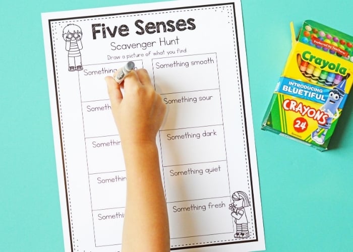 Go on a Scavenger Hunt with This 5 Senses Activity