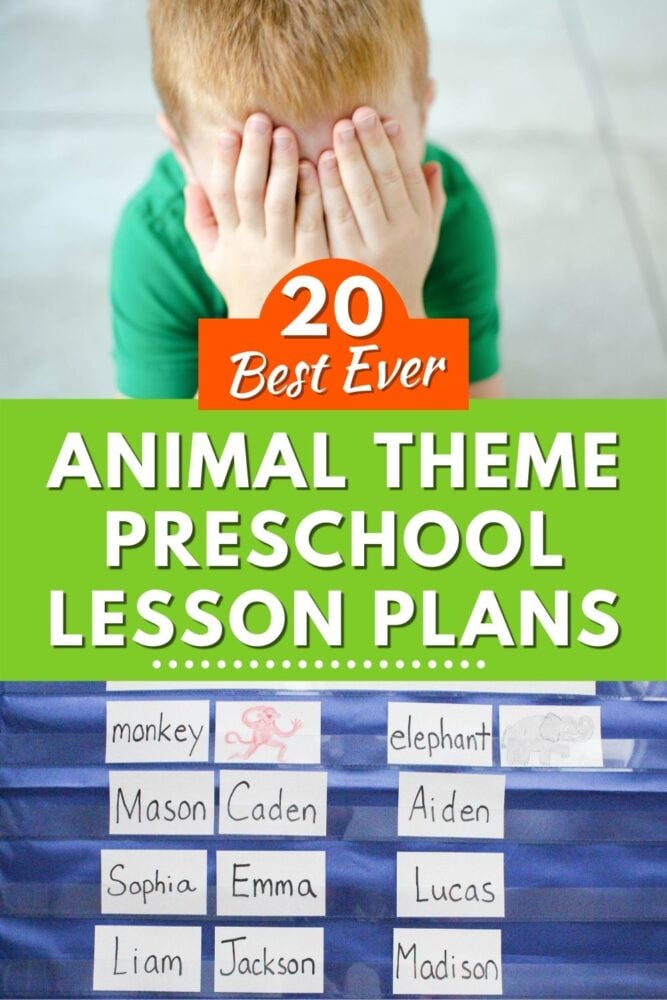 20 Best Ever Animal Theme Preschool Lesson Plans