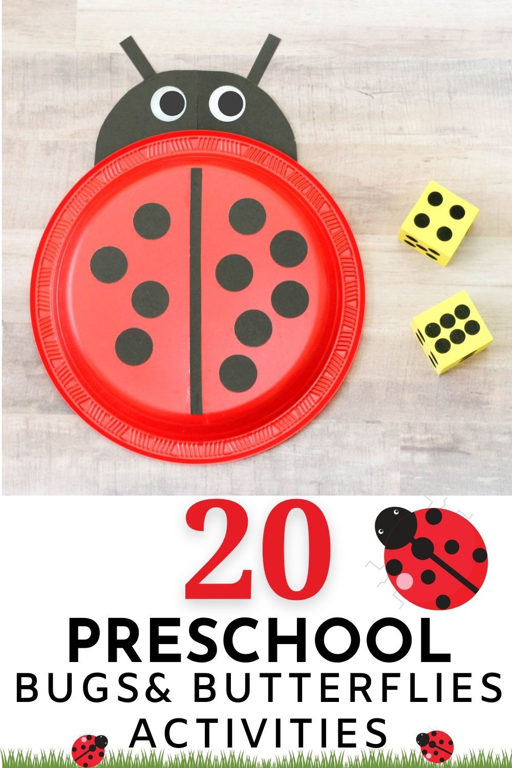 Easy bug and butterfly theme lesson plan for preschool 