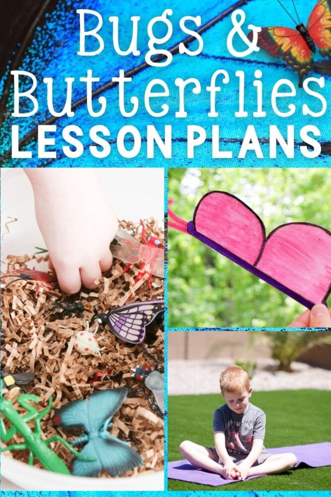 20+ bugs and butterflies lesson plans