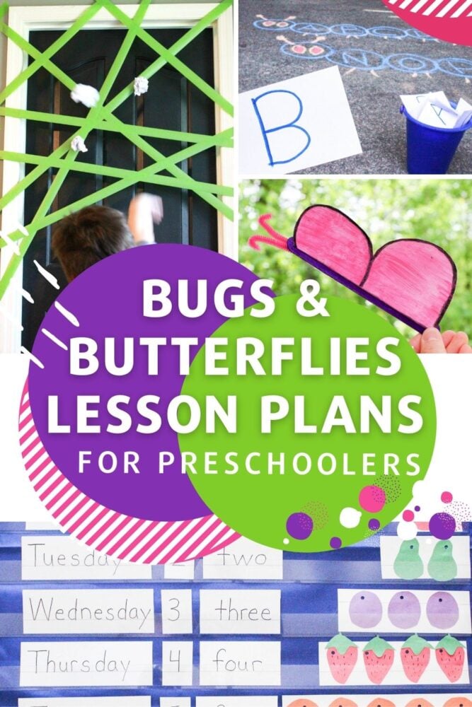 bugs and butterflies lesson plans for preschoolers