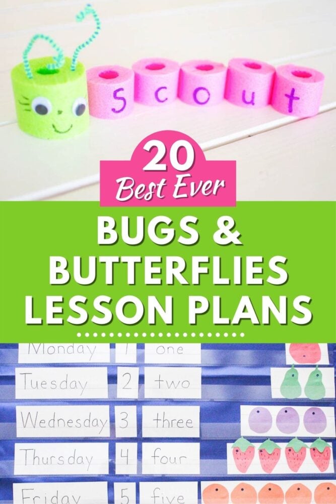 20 best ever bugs and butterflies lesson plans