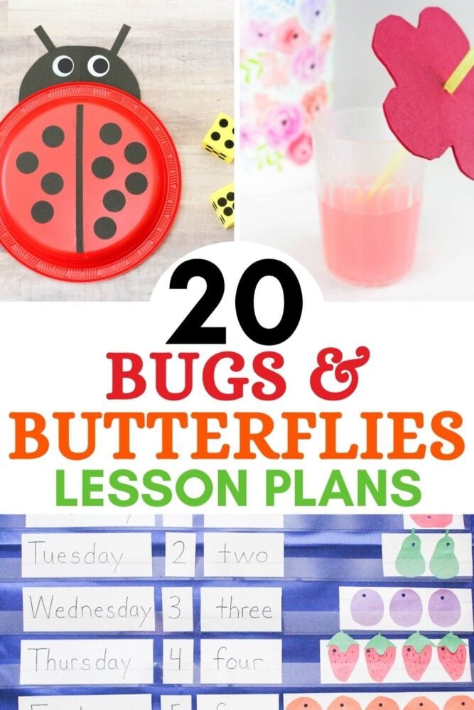 20 bugs and butterflies lesson plans