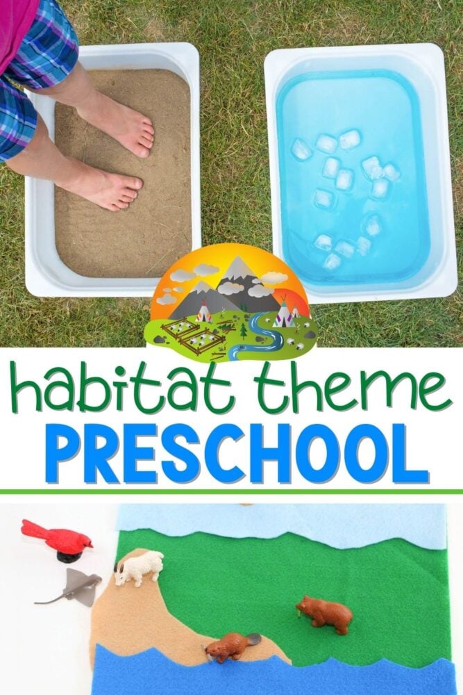 preschool habitat theme lessons