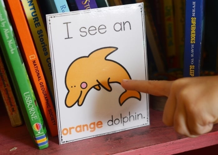 Free Printable Ocean Colors Posters for Preschool 9 child pointing to an orange dolphin color poster