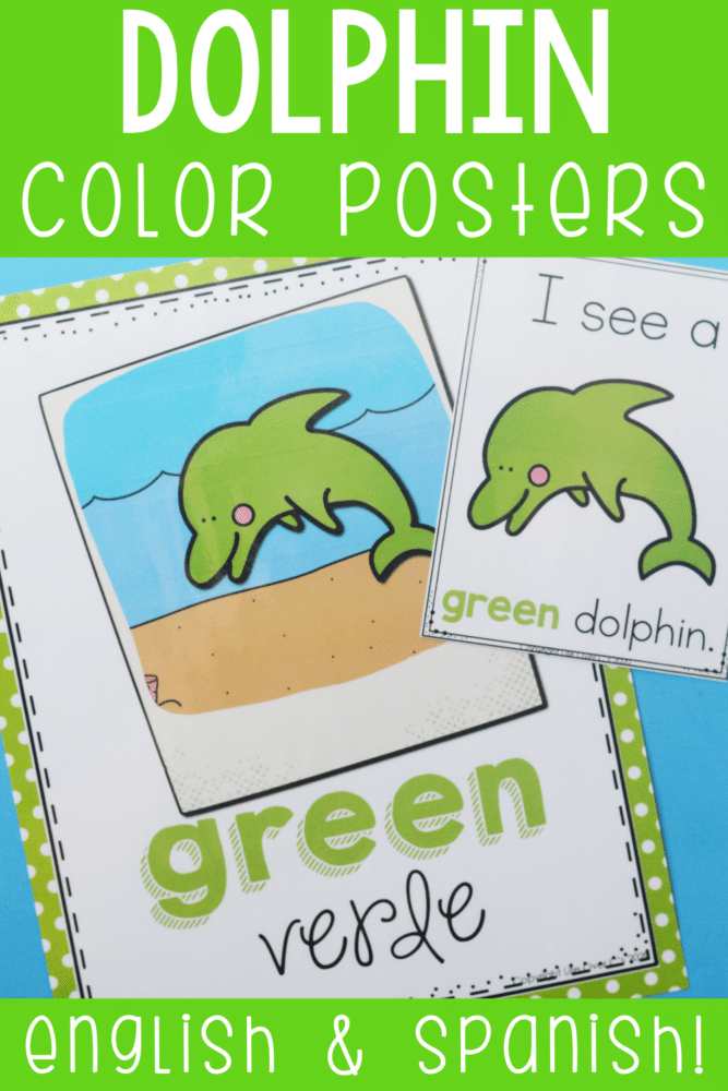 dolphin color posters for preschool