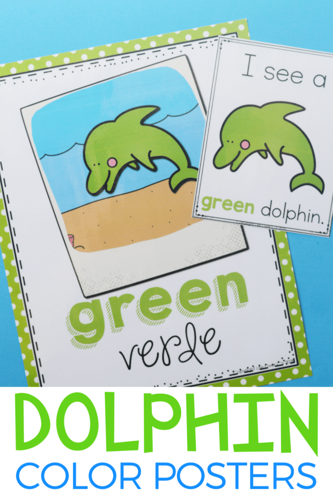 dolphin color posters for preschool
