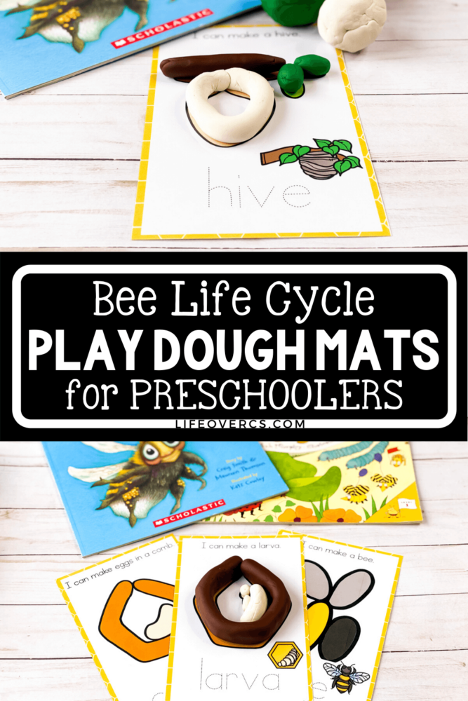 bee life cycle play dough mats for preschoolers
