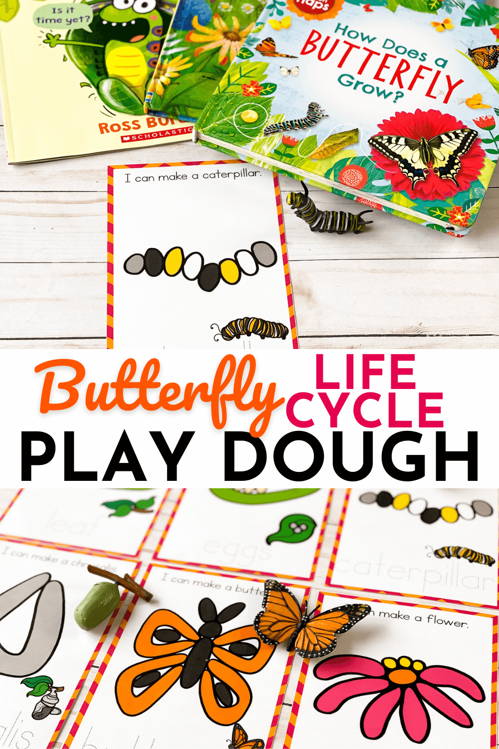 Free Printable Life Cycle of a Butterfly Play Dough Mats 17 free life cycle of a butterfly play dough mats