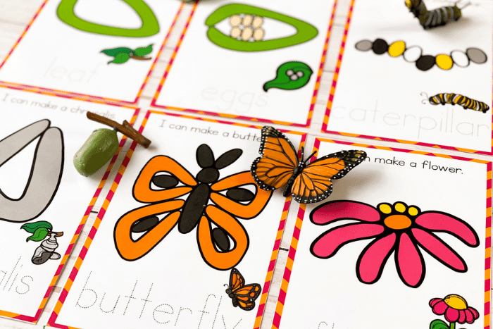 Life Cycle of a Butterfly Playdough Mat - Free Printable - Views